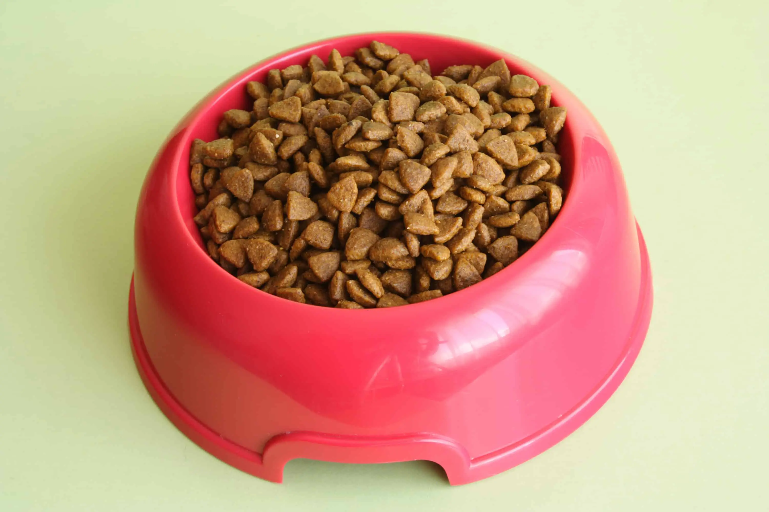 The Best Puppy Food Bowls For Puppies